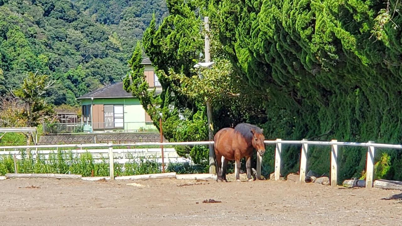 Ｋａｏｒｕ　Ｉｎｎ Villa มินามิอิซุ ภายนอก รูปภาพ