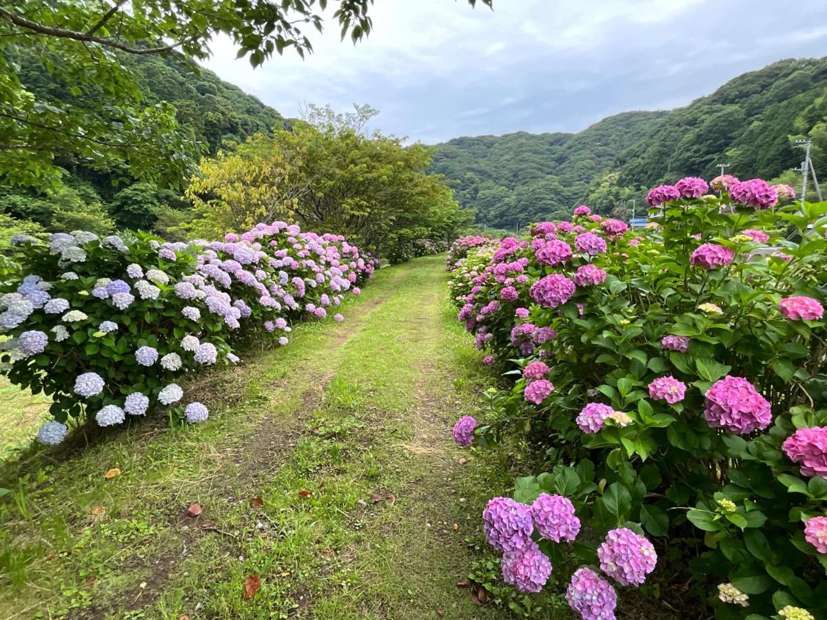 Ｋａｏｒｕ　Ｉｎｎ Villa มินามิอิซุ ภายนอก รูปภาพ
