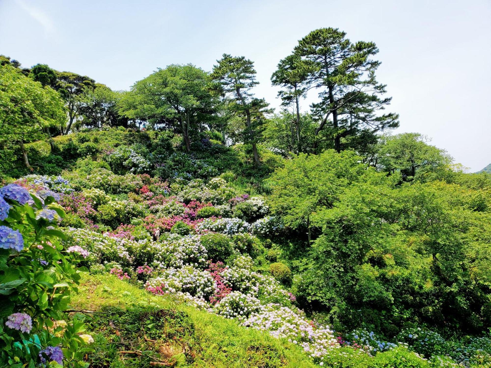 Ｋａｏｒｕ　Ｉｎｎ Villa มินามิอิซุ ภายนอก รูปภาพ