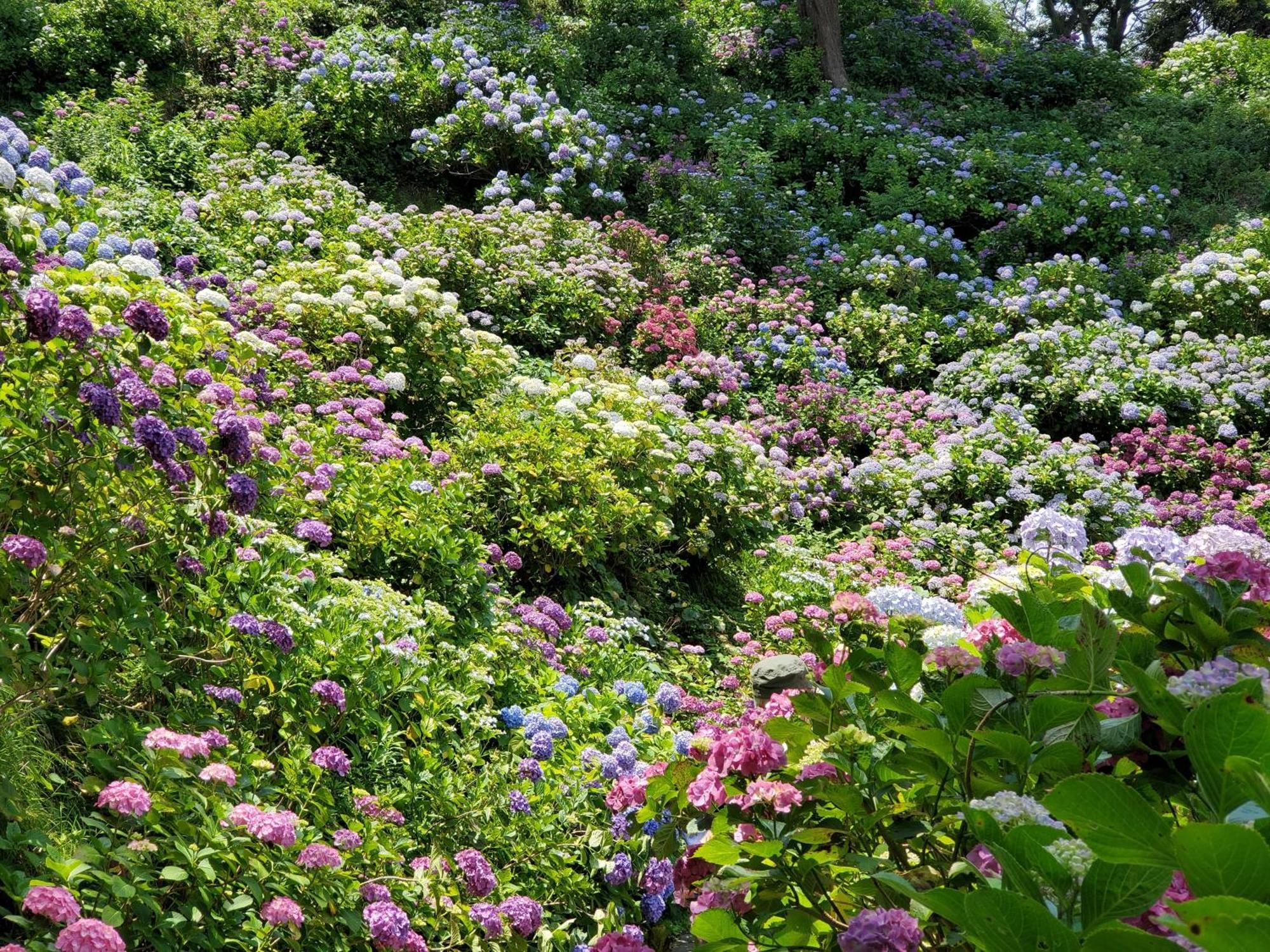 Ｋａｏｒｕ　Ｉｎｎ Villa มินามิอิซุ ภายนอก รูปภาพ